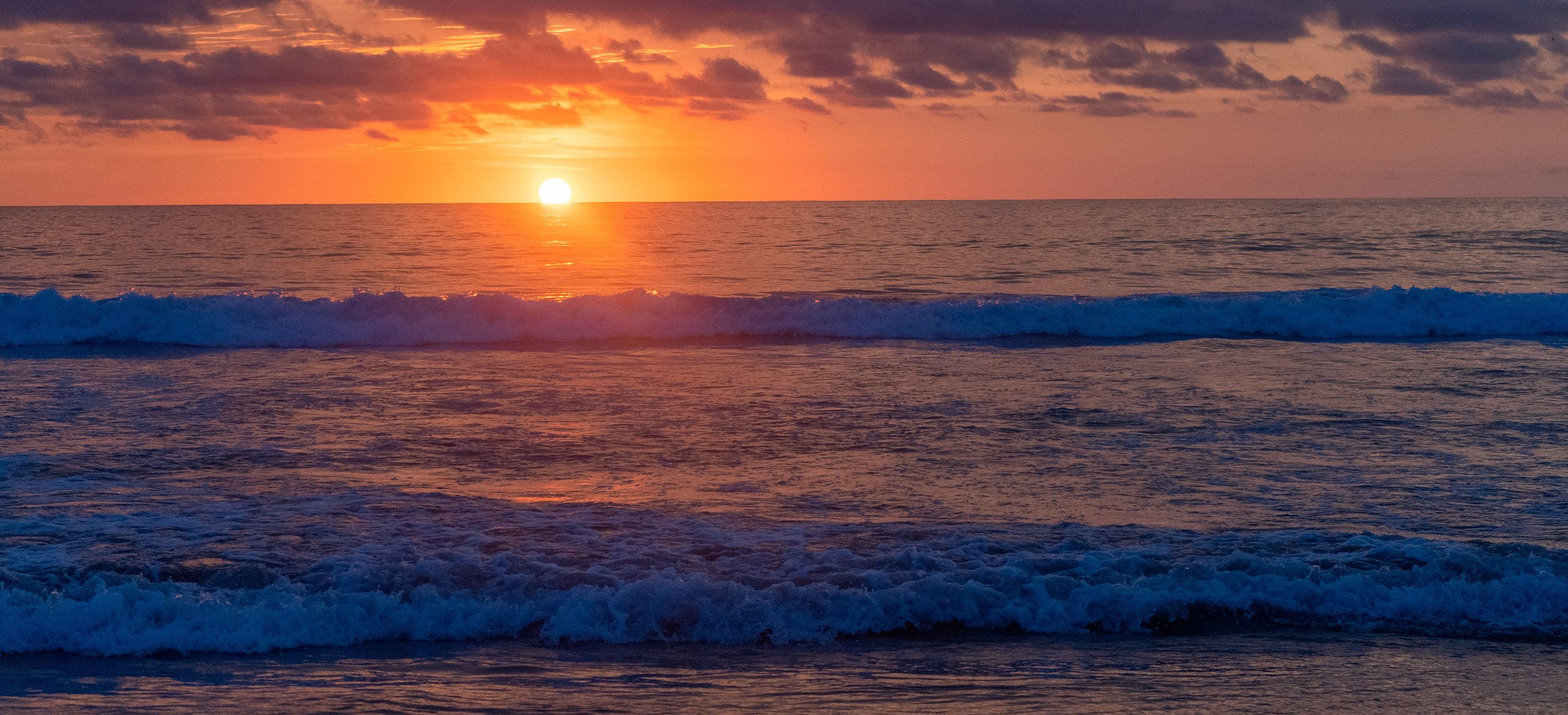 {Restaurant Bar en Nuestro Hotel Oceano Palace}