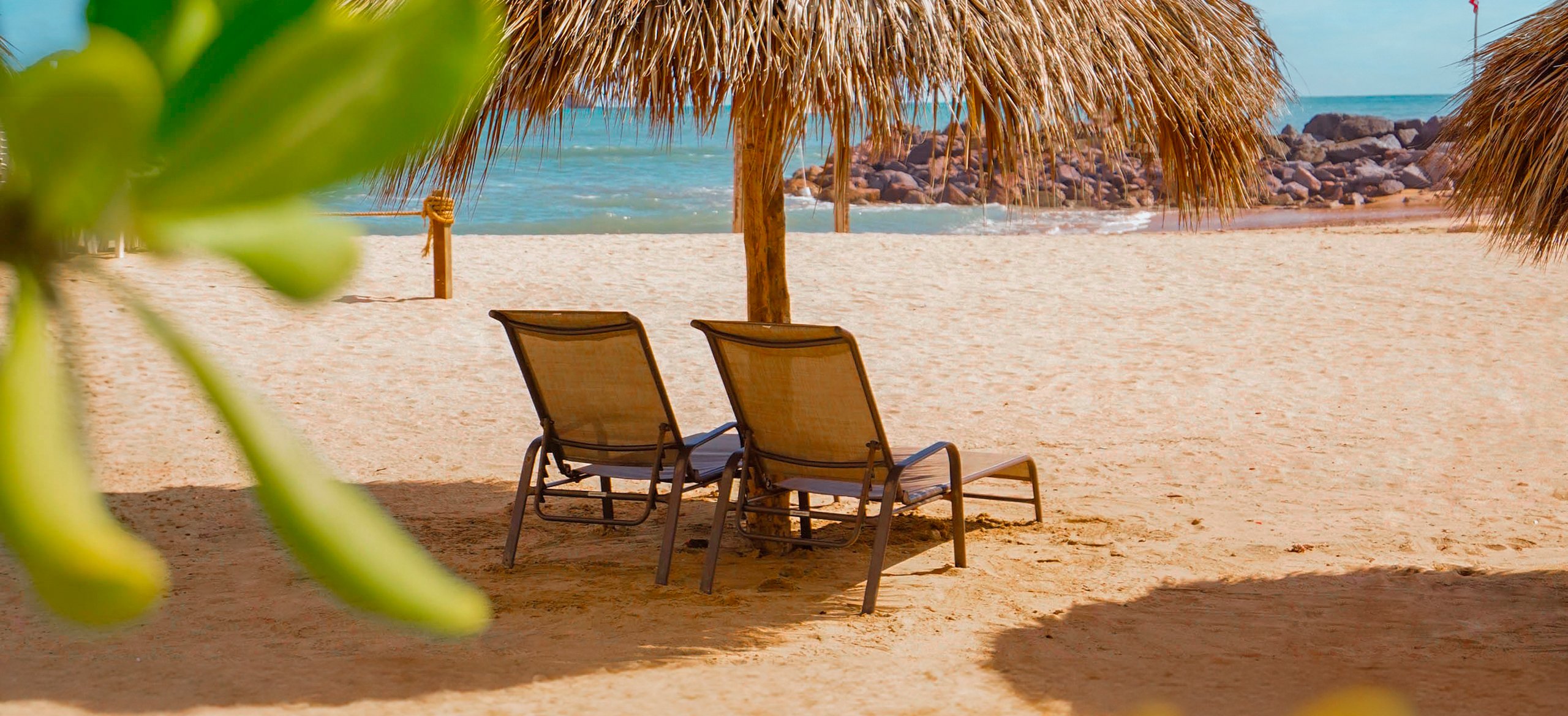 Disfruta de los restaurantes de los hoteles palace